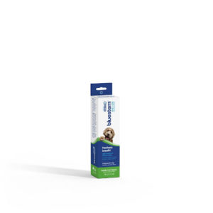 bluestem Oral Care Toothpaste Vanilla Mint Flavour