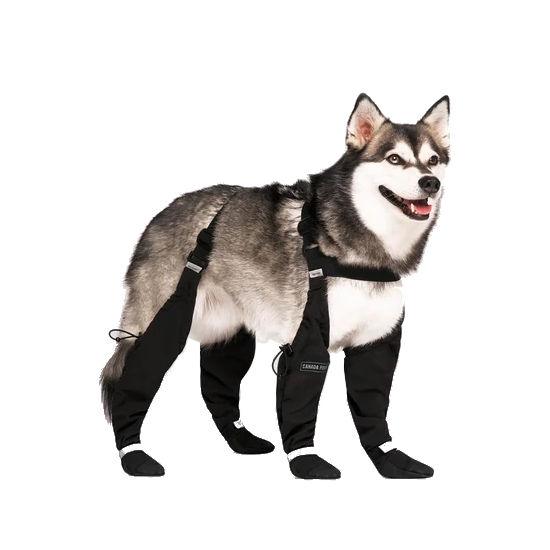 Canada Pooch Suspender Boots, Black