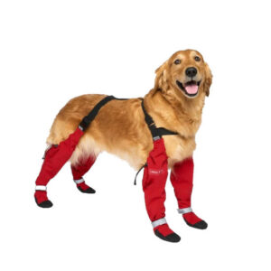 Canada Pooch Suspender Boots, Red
