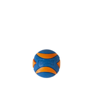 Chuckit! Ultra Squeaker Ball