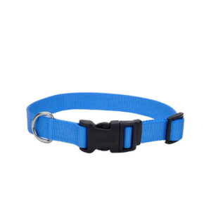 Coastal Adjustable Nylon Collar with Tuff Buckle, Blue Lagoon