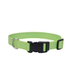 Coastal Adjustable Nylon Collar with Tuff Buckle, Lime Green