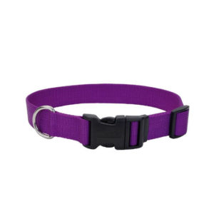 Coastal Adjustable Nylon Collar with Tuff Buckle, Purple