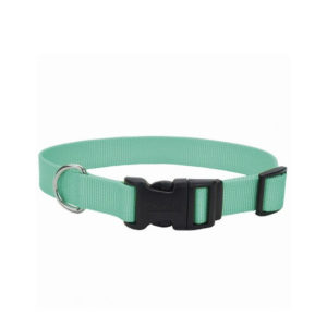 Coastal Adjustable Nylon Collar with Tuff Buckle, Teal