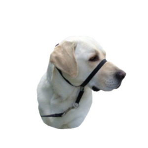 Gentle Leader Headcollar, Black