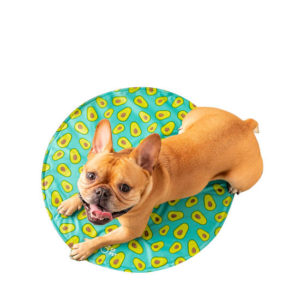 Go Fresh Pet Ice Mat Pet Cooling Bed, Aqua