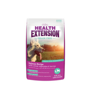 Health Extension Grain Free Salmon Recipe