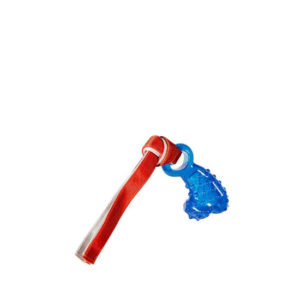 Hero Action Dino Bone with Canvas Tassels