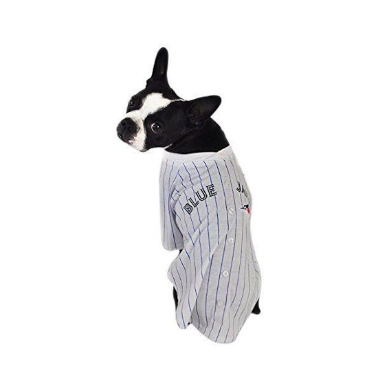 Hunter MLB Blue Jays Baseball Tee Uniform – CB Pet Food & Supplies