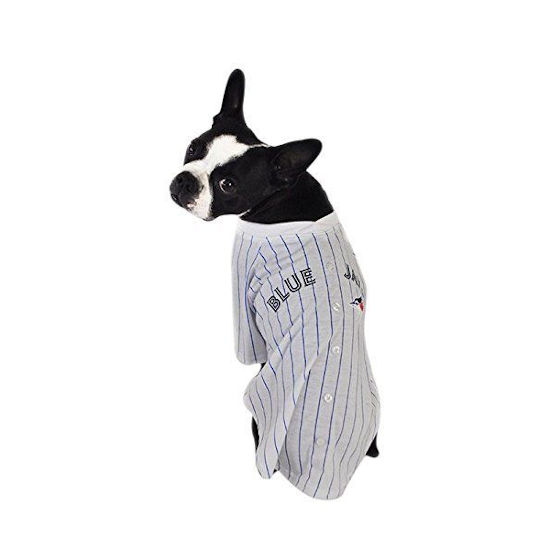 Hunter MLB Blue Jays Baseball Tee Uniform – CB Pet Food & Supplies –  Kitchener's Biggest Little Pet Store