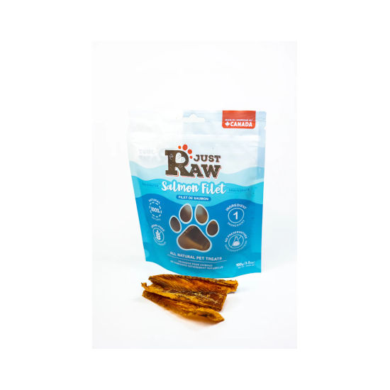 Just Raw Dehydrated Salmon Fillet