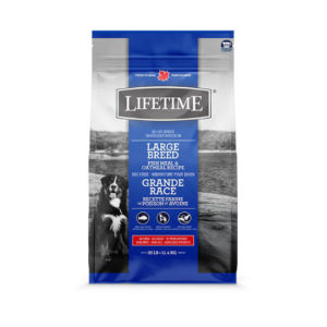 Lifetime Large Breed Fish & Oatmeal