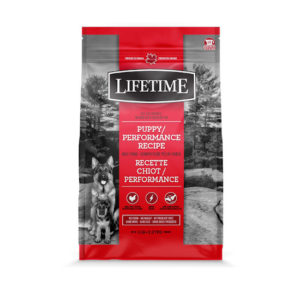 Lifetime Puppy / Performance
