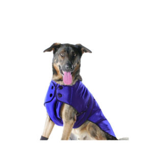 Muttluks Belted Dog Coat, Blue