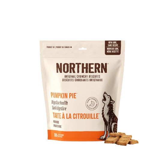 Northern Biscuit Pumpkin Pie