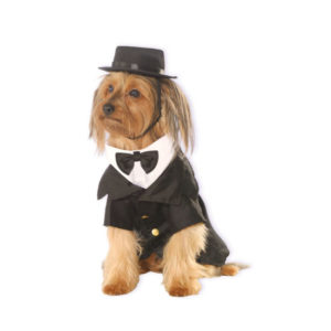 Rubie's Dapper Dog Costume
