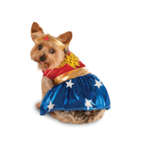 Rubie's Wonder Woman Costume