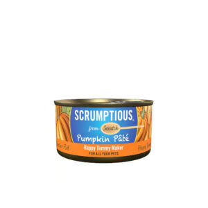 Scrumptious From Scratch Pumpkin Pate